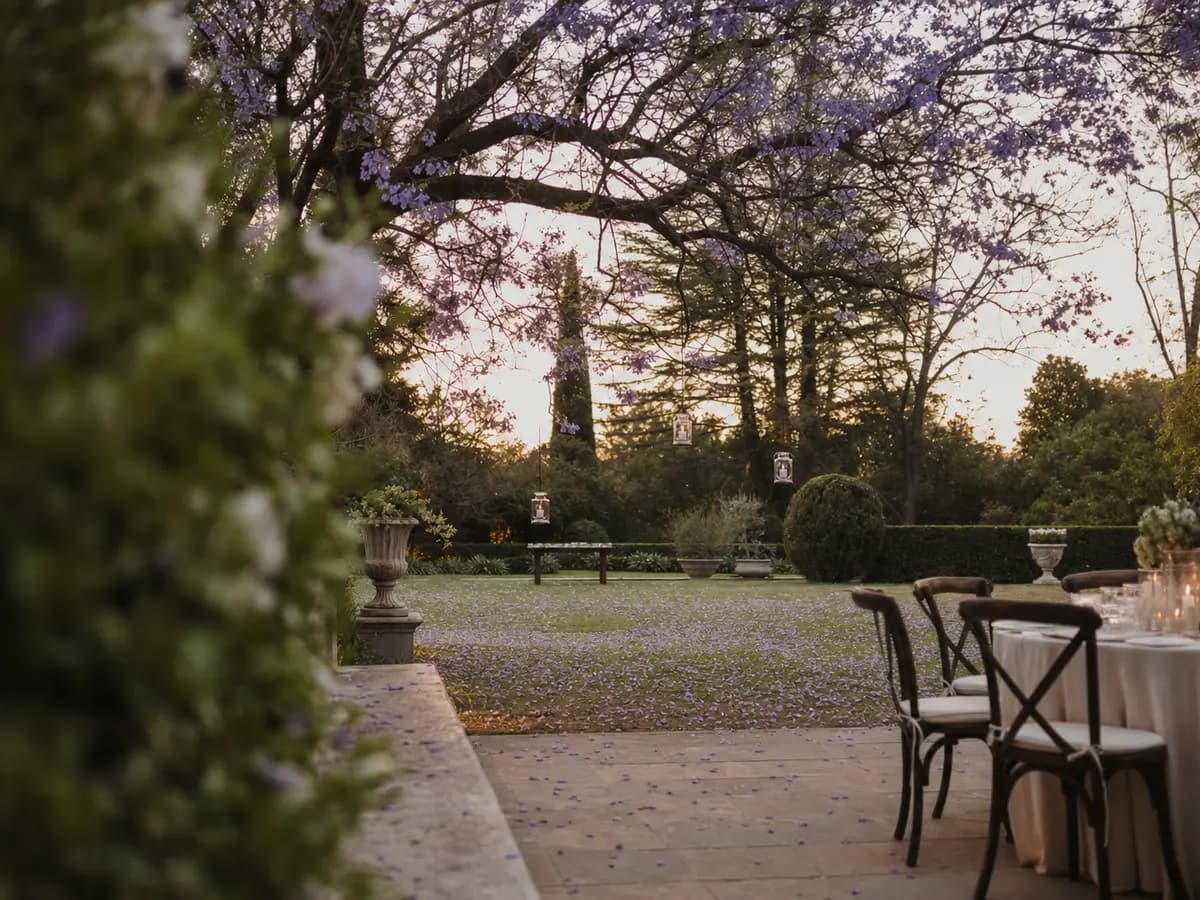 A quiet eastern-suburbs garden in Pretoria dressed for an evening wedding, jacaranda past its peak overhead