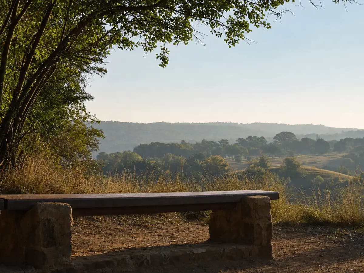 An empty bench facing an open landscape, photographed in soft early light with long shadows