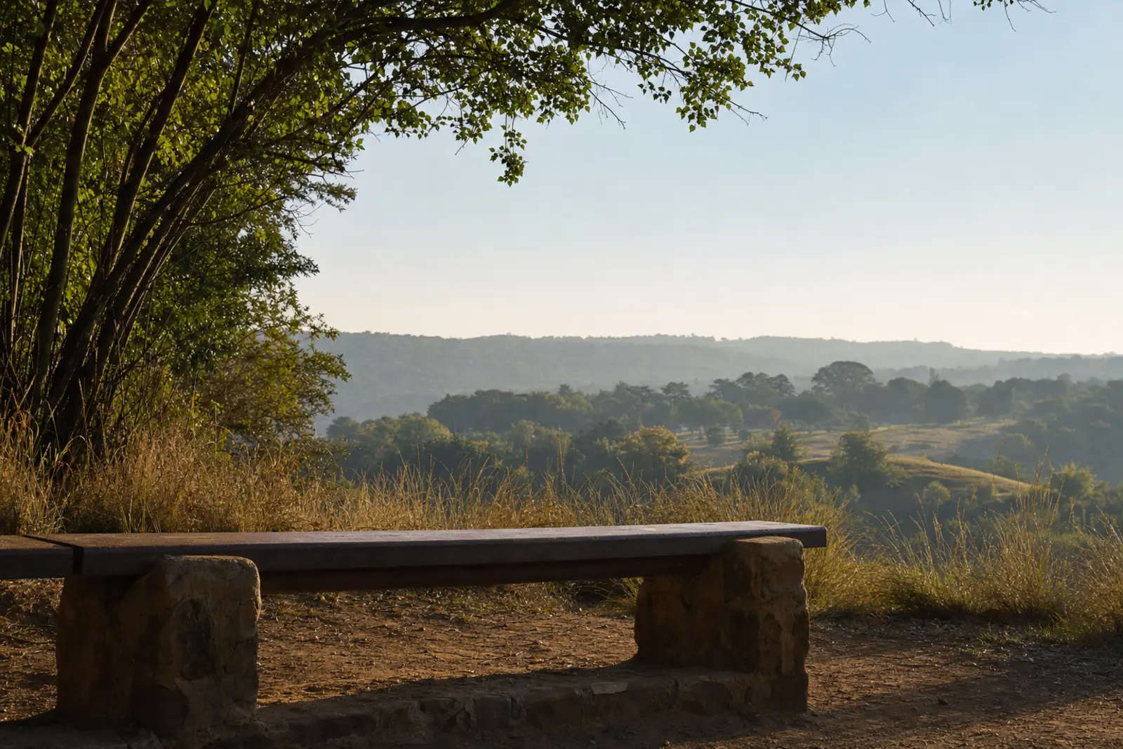 An empty bench facing an open landscape, photographed in soft early light with long shadows