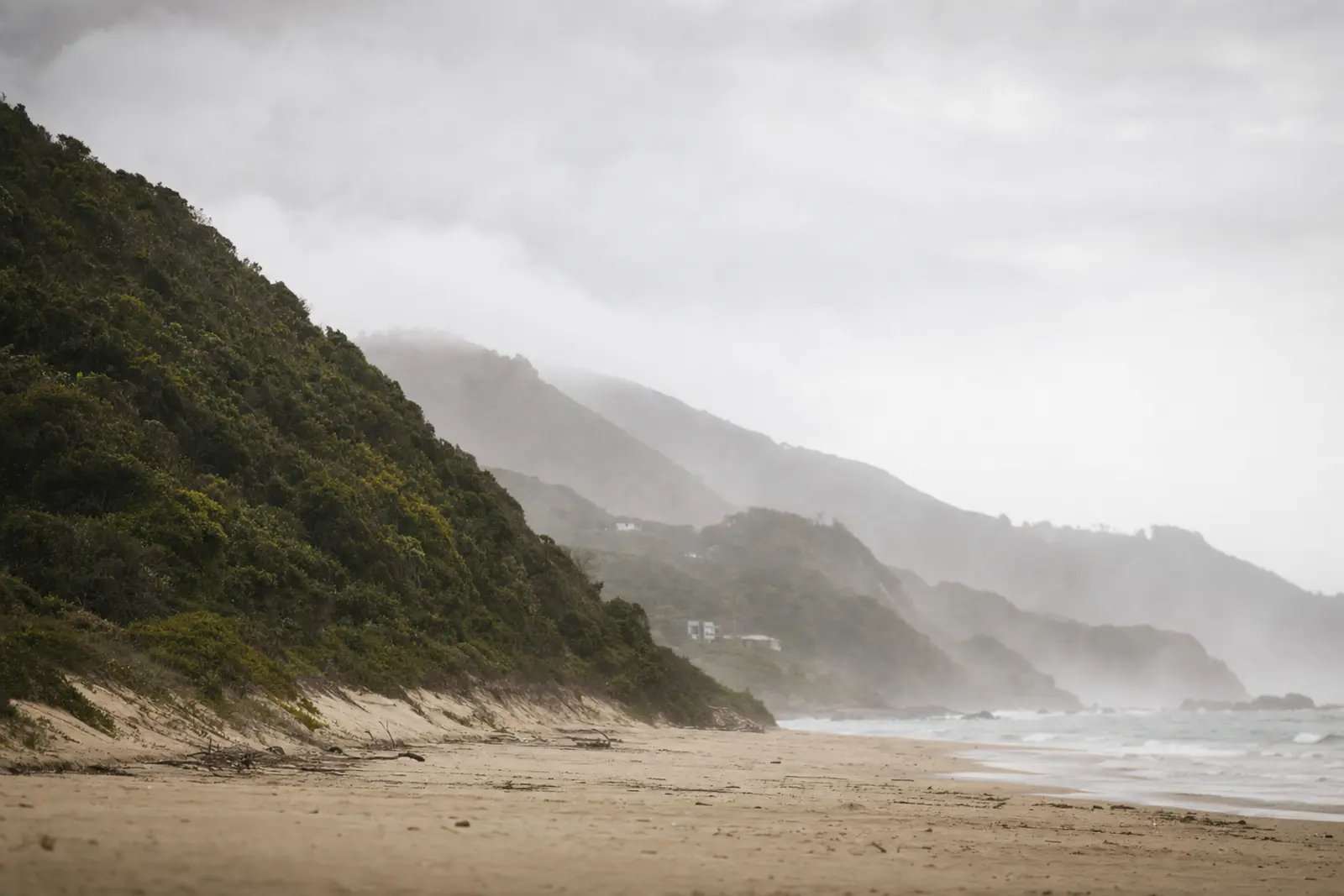 Mist over the forest canopy near the Garden Route coastline